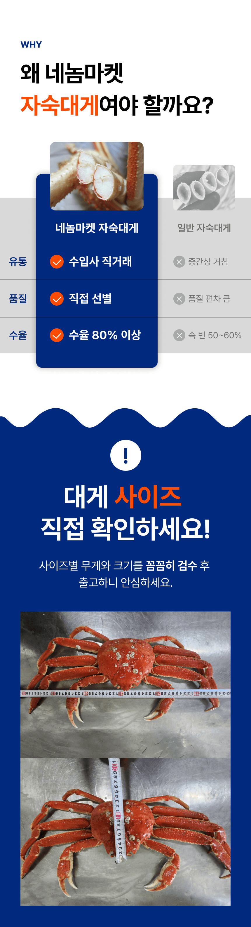 네놈마켓 자숙 대게와 일반 자숙 대게의 유통, 품질, 수율 비교. 수입사 직거래와 직접 선별, 수율 80% 이상을 강조하고 크기를 측정하는 사진을 보여줍니다.