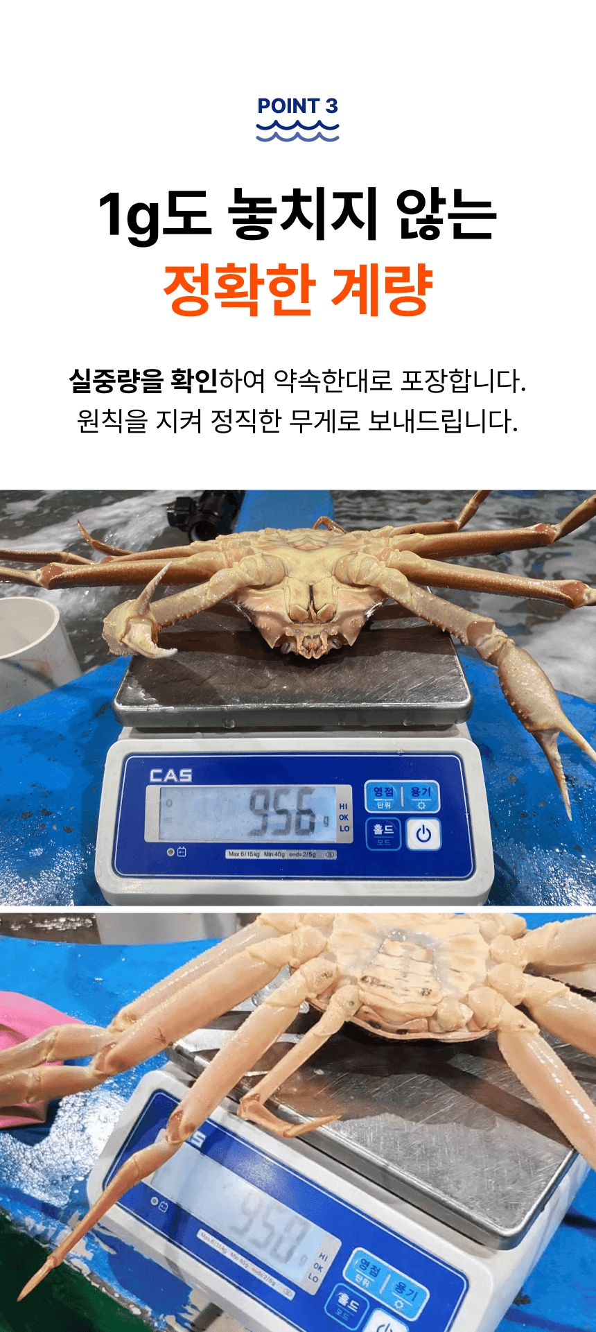 품질 포인트 3. 대게 실중량을 확인해 약속한 무게대로 포장한다는 설명과 저울 계량 사진입니다.